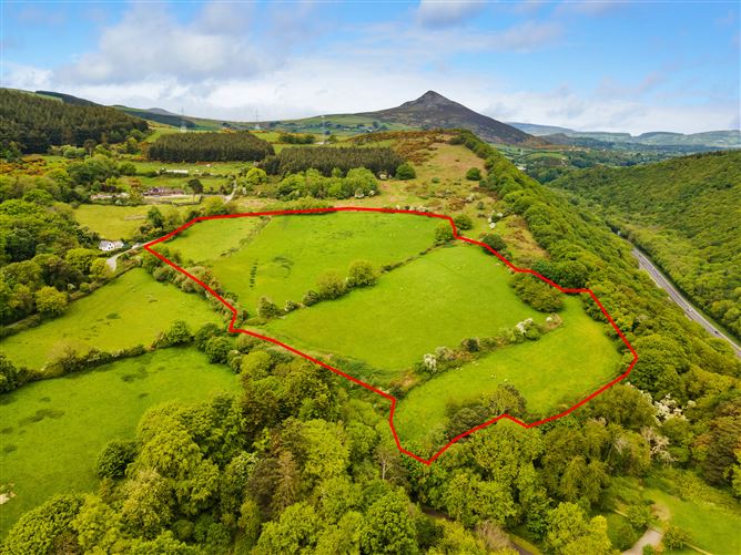 c.14.5 acres Glen of the Downs, Delgany, Wicklow