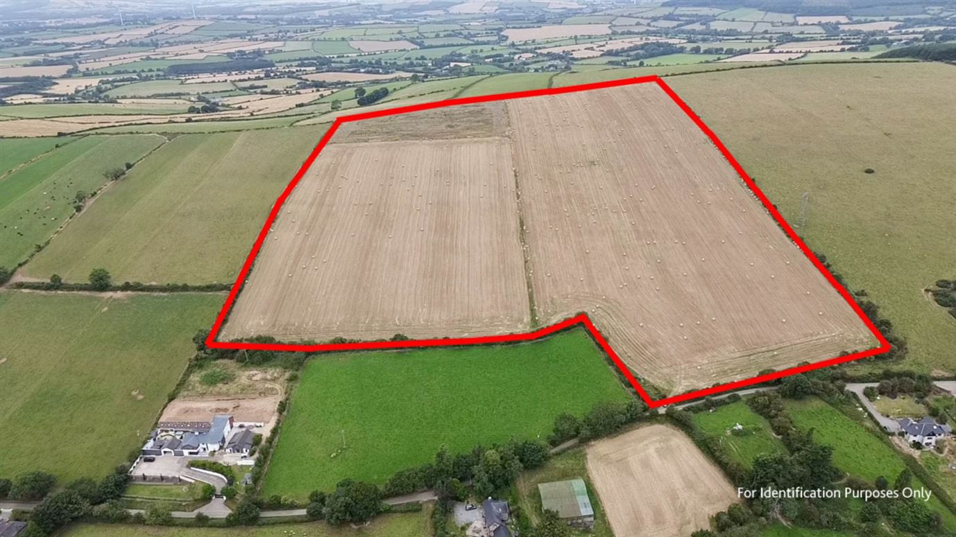 Clonee (C. 37.5 Acres), Camolin, County Wexford
