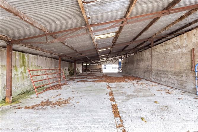 Stackallen Farm, Stackallen, Slane, Co. Meath