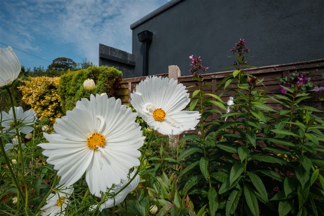 61 Eden Villas, Glasthule, County Dublin