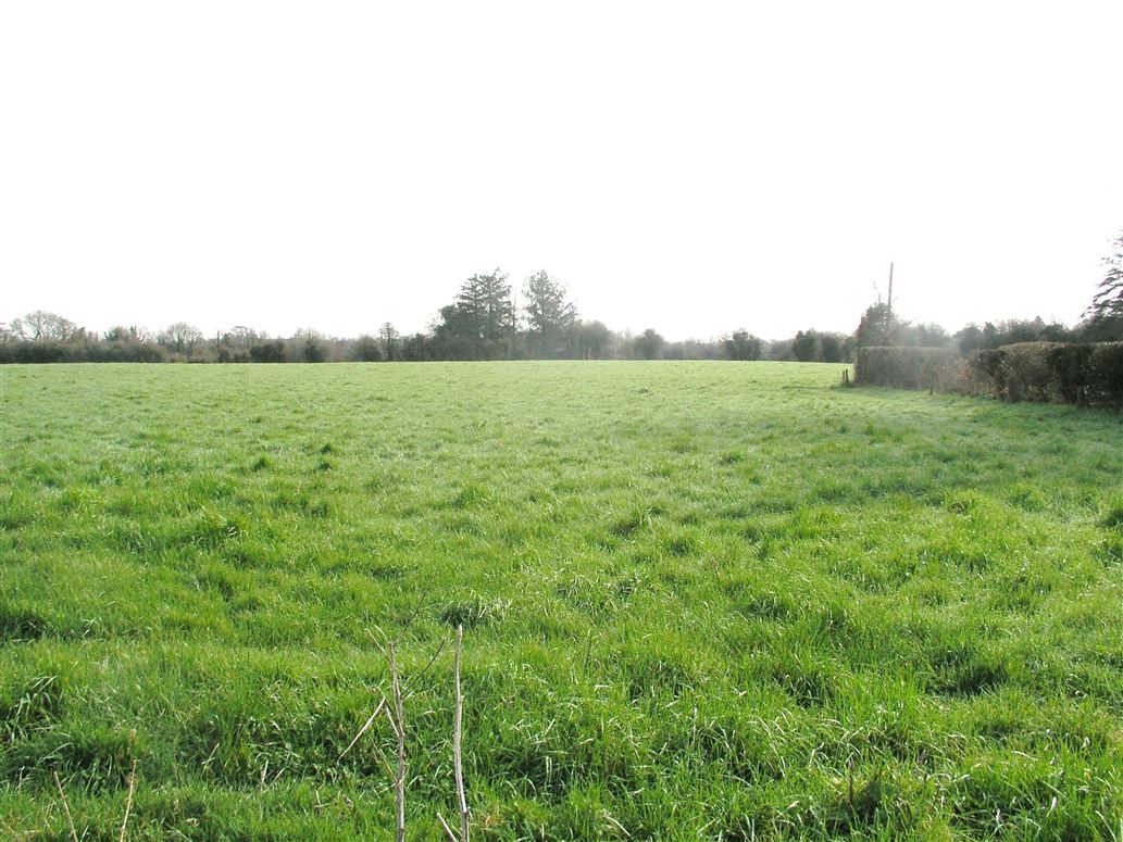 Ballagharahin, Errill, Laois