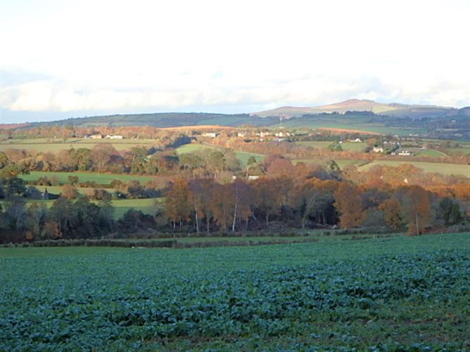 Ballypierce, Bunclody, Wexford