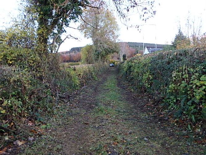 Ballypierce, Bunclody, Wexford