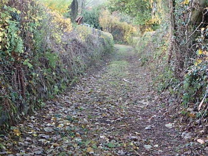 Ballypierce, Bunclody, Wexford