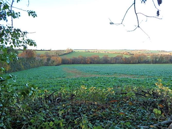 Ballypierce, Bunclody, Wexford