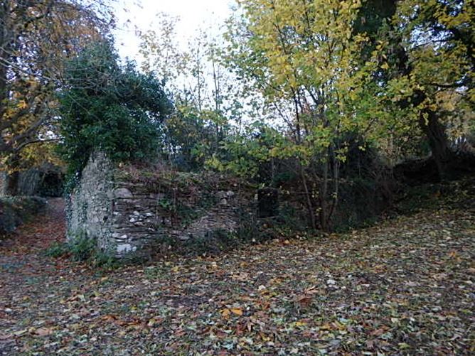 Ballypierce, Bunclody, Wexford
