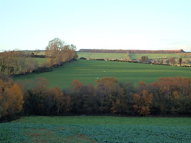Ballypierce, Bunclody, Wexford