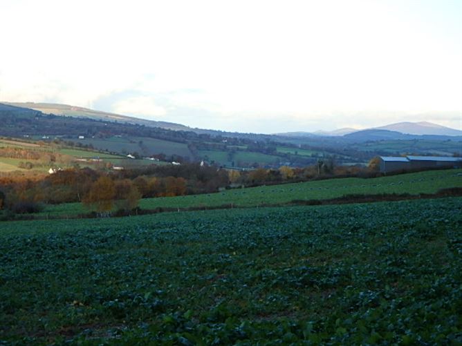 Ballypierce, Bunclody, Wexford