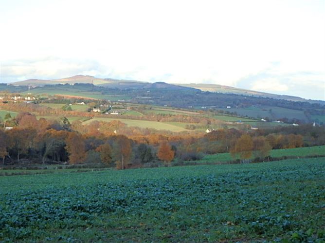 Ballypierce, Bunclody, Wexford
