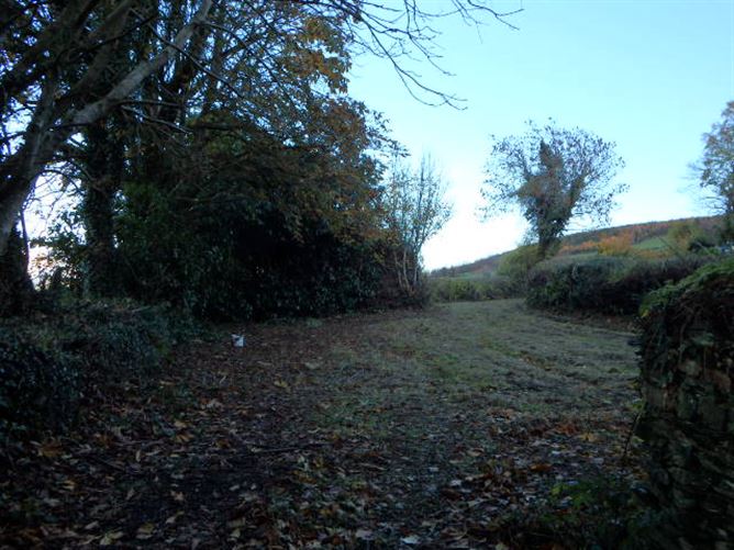 Ballypierce, Bunclody, Wexford