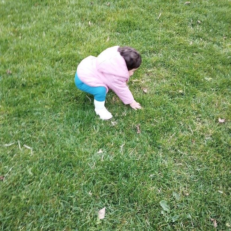 I’m not sure, Clonsilla, Dublin 15
