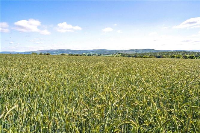 Barne Estate, Clonmel, Tipperary