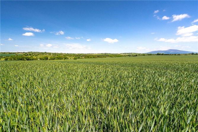 Barne Estate, Clonmel, Tipperary