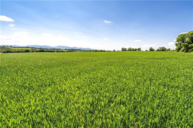 Barne Estate, Clonmel, Tipperary
