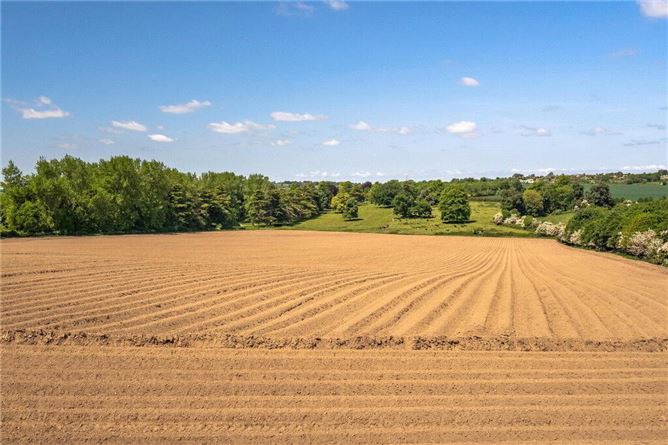 Barne Estate, Clonmel, Tipperary