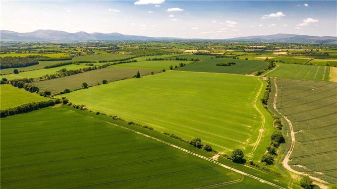 Barne Estate, Clonmel, Tipperary