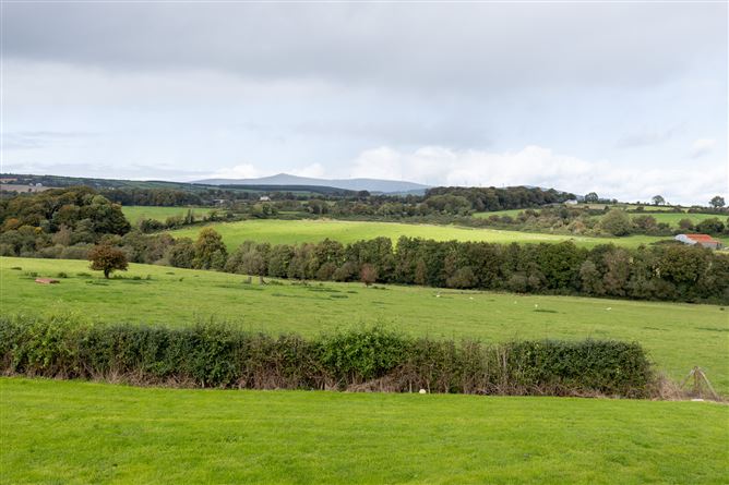 Borleigh, Kilanerin, Gorey, Co. Wexford