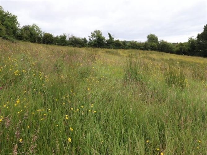 Rakeevan, Bailieborough, Co. Cavan, CNBAIL