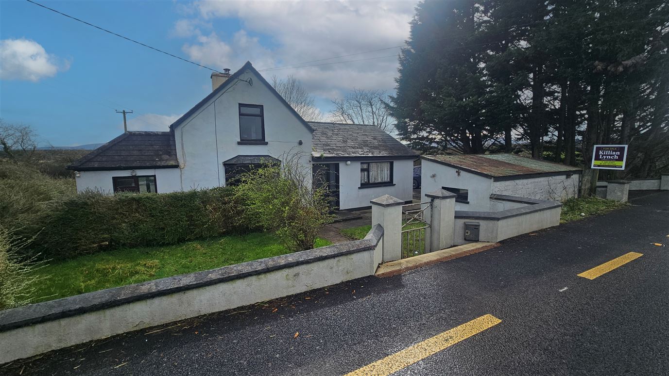 Meenskeha, Cullen, Cork