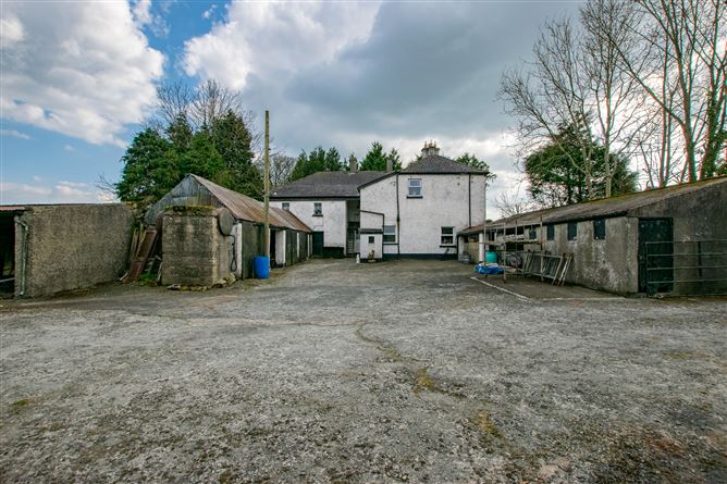 Lisbrack, Longford, Longford