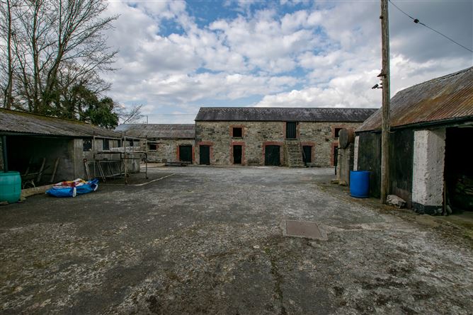 Lisbrack, Longford, Longford