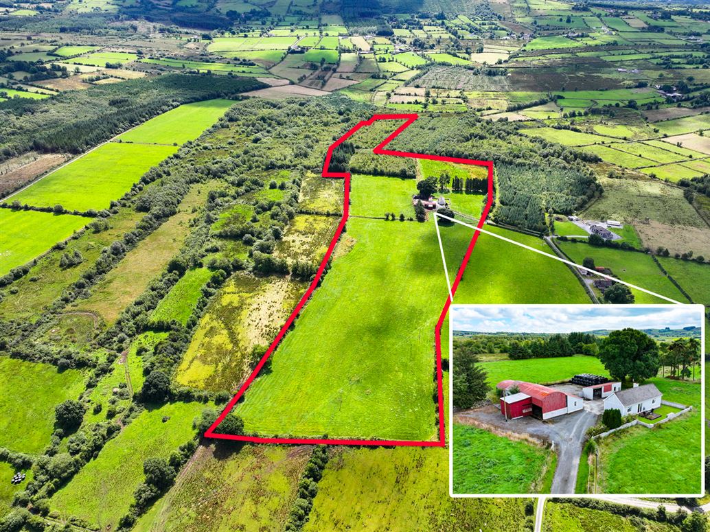 Derawley, Drumlish, Longford