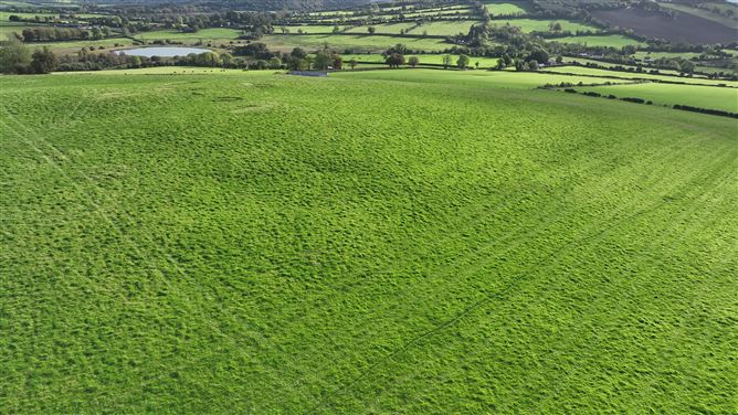 Tyfarnham, Multyfarnham, Westmeath