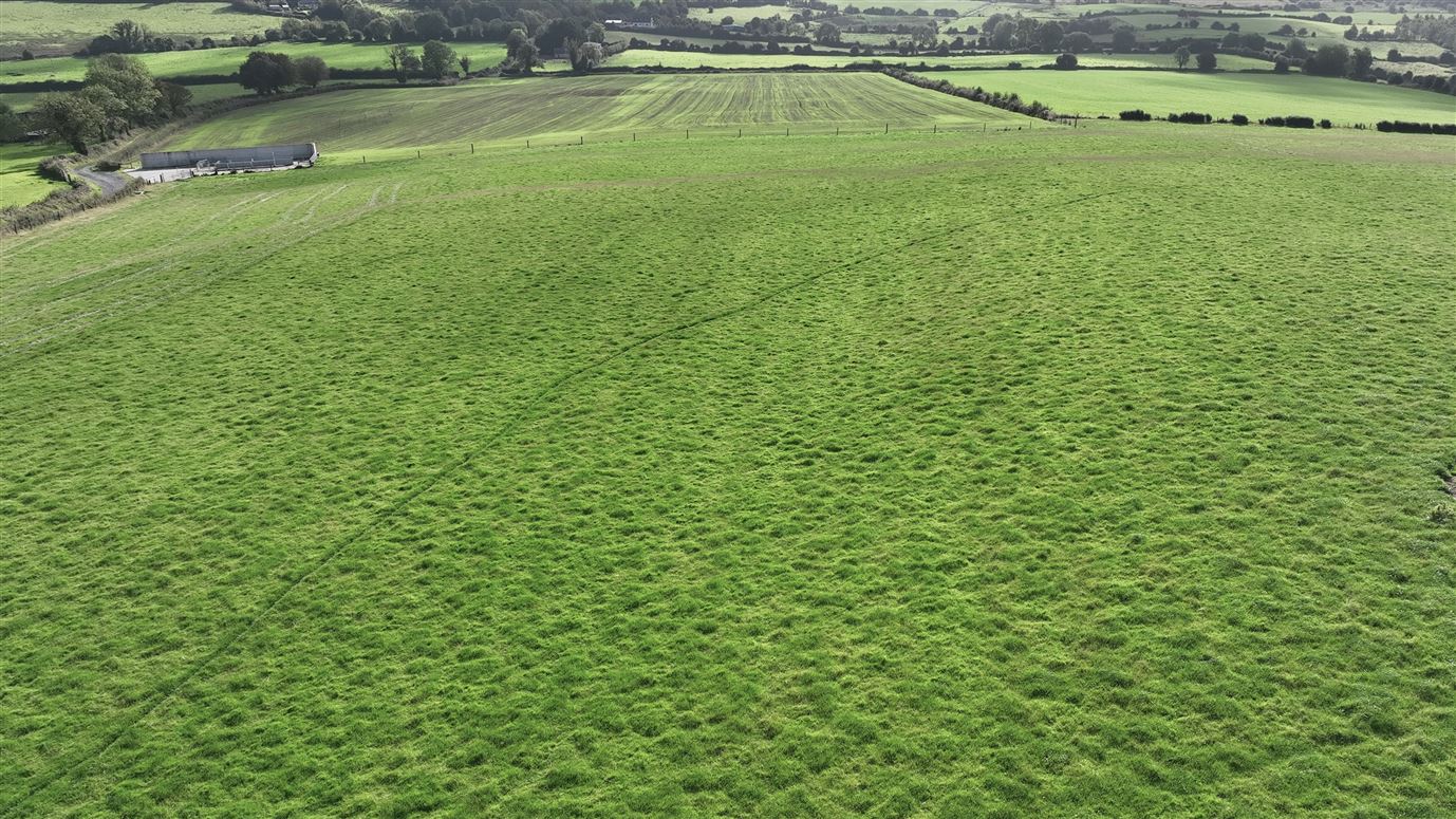 Tyfarnham, Multyfarnham, Westmeath