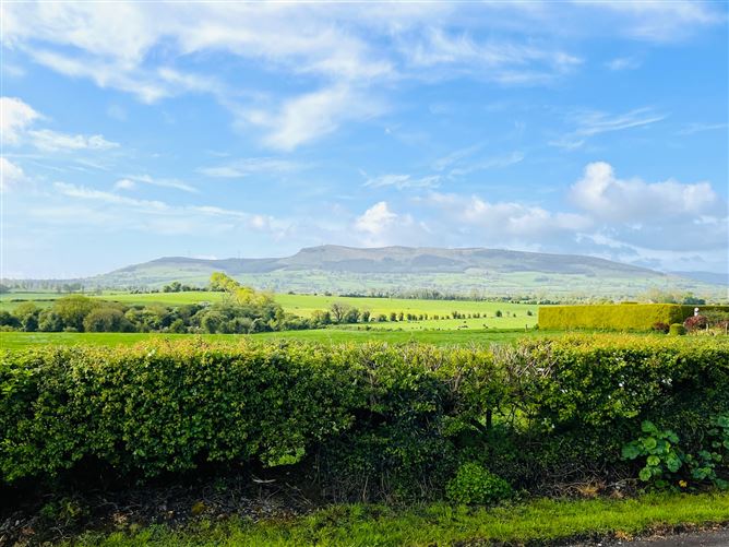 Raheenamadra, Knocklong, Limerick