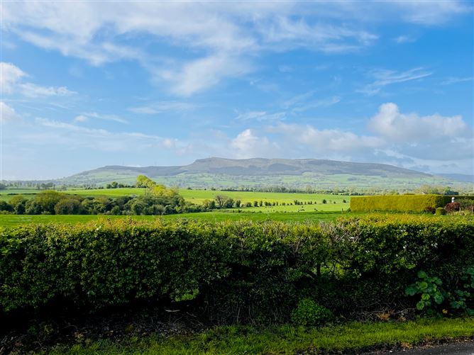 Raheenamadra, Knocklong, Limerick