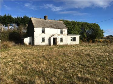 Cottage For Sale In Wexford Town Wexford Myhome Ie