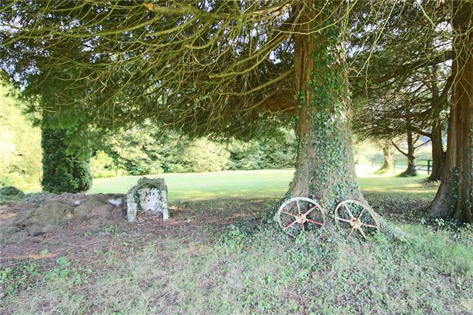 Mullaghmacormick, Roosky, Carrick-On-Shannon, Roscommon