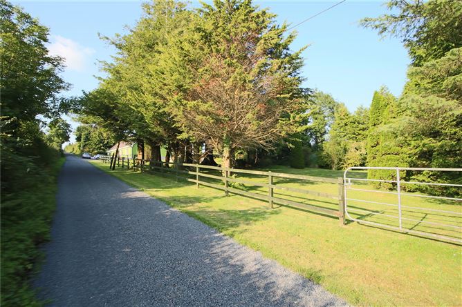Mullaghmacormick, Roosky, Carrick-On-Shannon, Roscommon