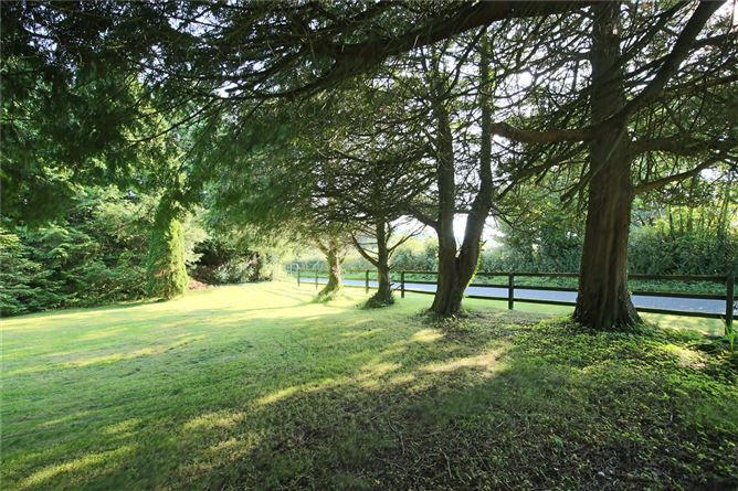 Mullaghmacormick, Roosky, Carrick-On-Shannon, Roscommon