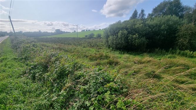 c.25 acres at Clonlura, Drummully, Clones, Monaghan