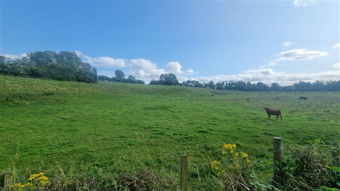 c.25 acres at Clonlura, Drummully, Clones, Monaghan