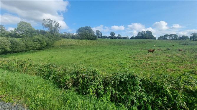 c.25 acres at Clonlura, Drummully, Clones, Monaghan