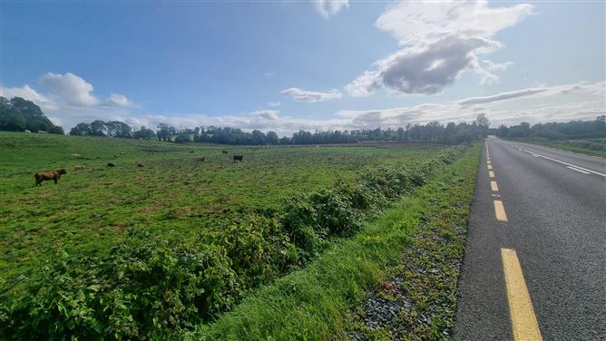 c.25 acres at Clonlura, Drummully, Clones, Monaghan