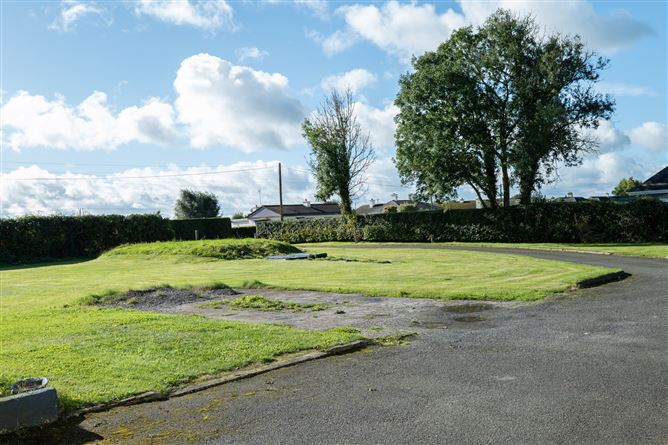 20 Bray Upper, Athy, Kildare