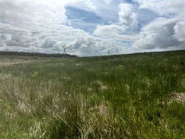 Image for Doolough, Connolly, Ennis, Co. Clare