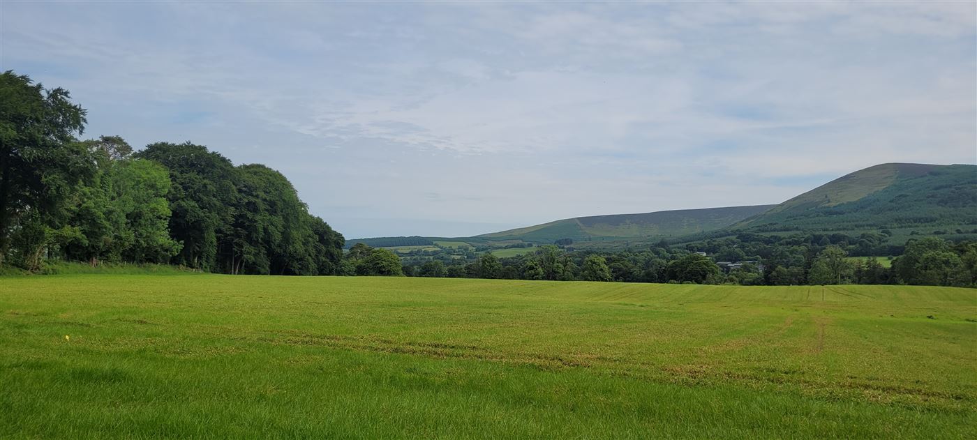 Moorspark, Donard, Wicklow