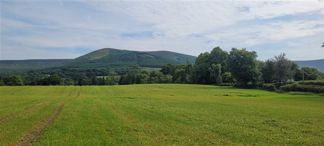 Moorspark, Donard, Wicklow