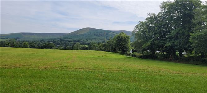 Moorspark, Donard, Wicklow