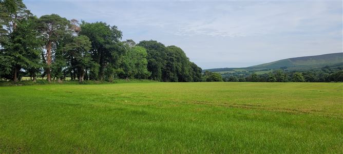 Moorspark, Donard, Wicklow