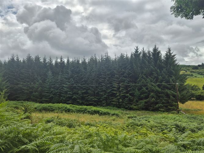 Scurlocksleap, Blessington, Wicklow