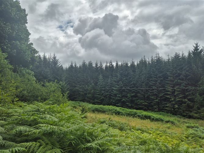 Scurlocksleap, Blessington, Wicklow