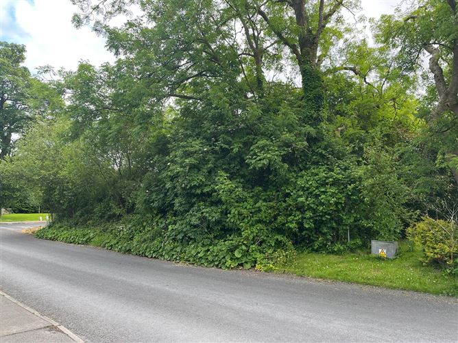 Hill Road, Bunratty, Clare