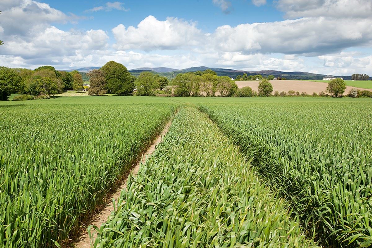 Circa 203 Acres Carriglea, Dungarvan, Waterford