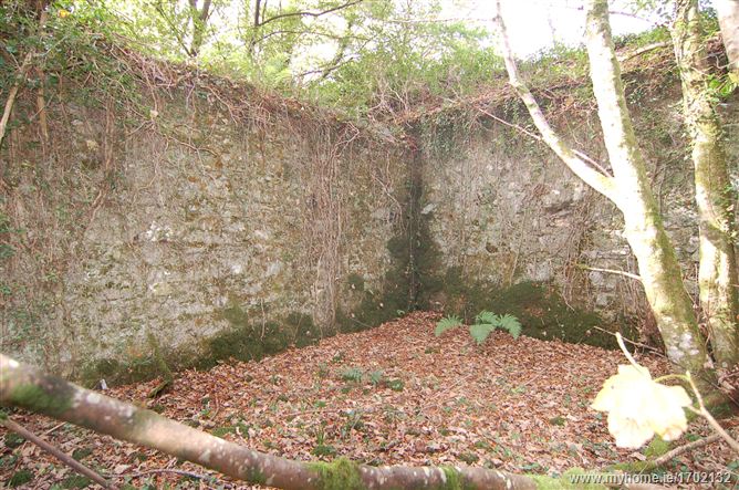 Laragh Castle, Laragh, Co. Wicklow