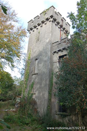 Laragh Castle, Laragh, Co. Wicklow